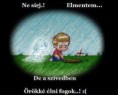 /album/kepgaleria-kezdolap/szellemkutyi-jpg/